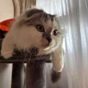 ヒメ日記 2025/06/27 18:00 投稿 たお THE ESUTE HOUSE 柴田