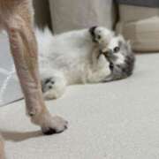 ヒメ日記 2025/07/03 19:20 投稿 たお THE ESUTE HOUSE 柴田