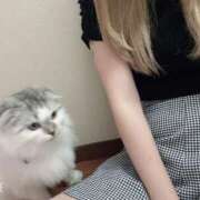 ヒメ日記 2025/07/09 20:20 投稿 たお THE ESUTE HOUSE 柴田