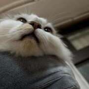 ヒメ日記 2025/07/13 12:01 投稿 たお THE ESUTE HOUSE 柴田