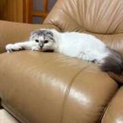 ヒメ日記 2025/07/16 13:34 投稿 たお THE ESUTE HOUSE 柴田