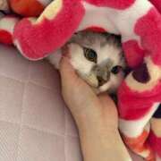 ヒメ日記 2025/07/21 20:06 投稿 たお THE ESUTE HOUSE 柴田