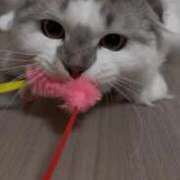 ヒメ日記 2025/09/08 16:19 投稿 たお THE ESUTE HOUSE 柴田