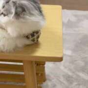 ヒメ日記 2025/09/15 18:16 投稿 たお THE ESUTE HOUSE 柴田