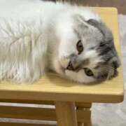 ヒメ日記 2025/09/17 19:16 投稿 たお THE ESUTE HOUSE 柴田