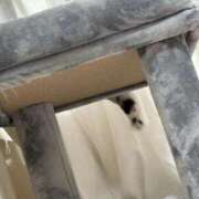 ヒメ日記 2025/09/25 09:16 投稿 たお THE ESUTE HOUSE 柴田