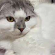 ヒメ日記 2025/10/04 10:20 投稿 たお THE ESUTE HOUSE 柴田