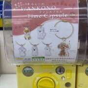 ヒメ日記 2025/10/12 21:19 投稿 たお THE ESUTE HOUSE 柴田