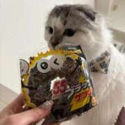 ヒメ日記 2025/10/17 09:06 投稿 たお THE ESUTE HOUSE 柴田