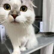 ヒメ日記 2025/10/19 21:16 投稿 たお THE ESUTE HOUSE 柴田