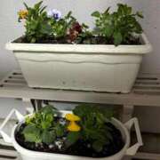 ヒメ日記 2025/10/25 10:06 投稿 たお THE ESUTE HOUSE 柴田