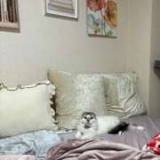 ヒメ日記 2025/10/26 12:08 投稿 たお THE ESUTE HOUSE 柴田