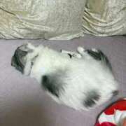 ヒメ日記 2025/10/26 12:26 投稿 たお THE ESUTE HOUSE 柴田