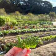 ヒメ日記 2025/11/03 15:16 投稿 たお THE ESUTE HOUSE 柴田