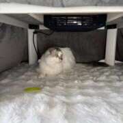 ヒメ日記 2025/11/05 17:06 投稿 たお THE ESUTE HOUSE 柴田