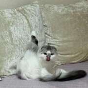 ヒメ日記 2025/12/01 10:17 投稿 たお THE ESUTE HOUSE 柴田