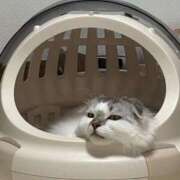 ヒメ日記 2025/12/03 22:16 投稿 たお THE ESUTE HOUSE 柴田