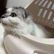 ヒメ日記 2025/12/04 18:06 投稿 たお THE ESUTE HOUSE 柴田