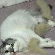 ヒメ日記 2025/12/15 10:16 投稿 たお THE ESUTE HOUSE 柴田