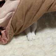 ヒメ日記 2025/12/19 13:19 投稿 たお THE ESUTE HOUSE 柴田