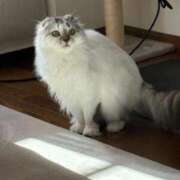 ヒメ日記 2026/01/18 21:56 投稿 たお THE ESUTE HOUSE 柴田