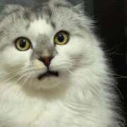 ヒメ日記 2026/01/24 17:46 投稿 たお THE ESUTE HOUSE 柴田