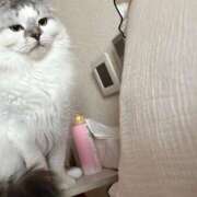 ヒメ日記 2026/01/27 18:16 投稿 たお THE ESUTE HOUSE 柴田