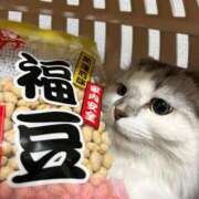 ヒメ日記 2026/02/03 20:36 投稿 たお THE ESUTE HOUSE 柴田