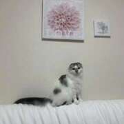 ヒメ日記 2026/02/14 09:36 投稿 たお THE ESUTE HOUSE 柴田