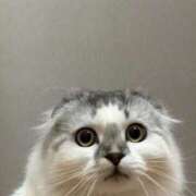 ヒメ日記 2026/02/23 12:46 投稿 たお THE ESUTE HOUSE 柴田