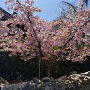 ヒメ日記 2026/03/17 08:06 投稿 たお THE ESUTE HOUSE 柴田