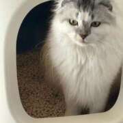 ヒメ日記 2026/03/17 21:19 投稿 たお THE ESUTE HOUSE 柴田