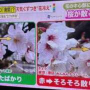 ヒメ日記 2026/03/27 21:16 投稿 たお THE ESUTE HOUSE 柴田