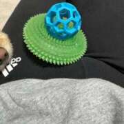 ヒメ日記 2026/03/29 15:15 投稿 たお THE ESUTE HOUSE 柴田