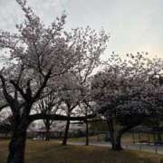 ヒメ日記 2026/03/30 00:01 投稿 たお THE ESUTE HOUSE 柴田