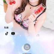 ヒメ日記 2026/04/04 08:26 投稿 たお THE ESUTE HOUSE 柴田