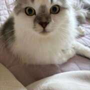 ヒメ日記 2026/04/13 12:16 投稿 たお THE ESUTE HOUSE 柴田