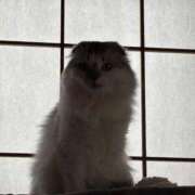 ヒメ日記 2026/09/14 08:18 投稿 たお THE ESUTE HOUSE 柴田