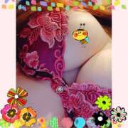 ヒメ日記 2026/03/30 08:08 投稿 るる シェリーエンジェル