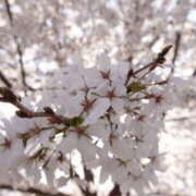 ヒメ日記 2025/04/12 16:14 投稿 あやの 梅田ゴールデン倶楽部