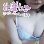 ヒメ日記 2025/11/23 10:55 投稿 せせり ぽちゃカワ女子専門店 上野御徒町店