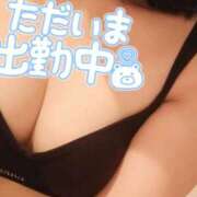 ヒメ日記 2025/12/15 16:46 投稿 せせり ぽちゃカワ女子専門店 上野御徒町店