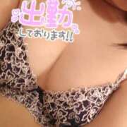 ヒメ日記 2025/12/20 11:34 投稿 せせり ぽちゃカワ女子専門店 上野御徒町店