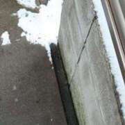 ヒメ日記 2026/02/08 14:13 投稿 せせり ぽちゃカワ女子専門店 上野御徒町店