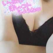 ヒメ日記 2026/02/20 08:31 投稿 せせり ぽちゃカワ女子専門店 上野御徒町店