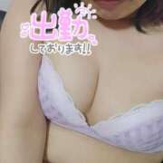 ヒメ日記 2026/06/22 16:47 投稿 せせり ぽちゃカワ女子専門店 上野御徒町店