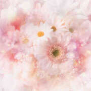 ヒメ日記 2026/04/04 08:48 投稿 優花 変態プレイ専門店 マニアック女人館 本館