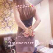 ヒメ日記 2026/04/27 08:06 投稿 優花 変態プレイ専門店 マニアック女人館 本館