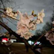 つばさ 🌸 制服これくしょん
