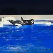 ヒメ日記 2025/01/28 16:22 投稿 ようこ めっちゃスイスク梅田店